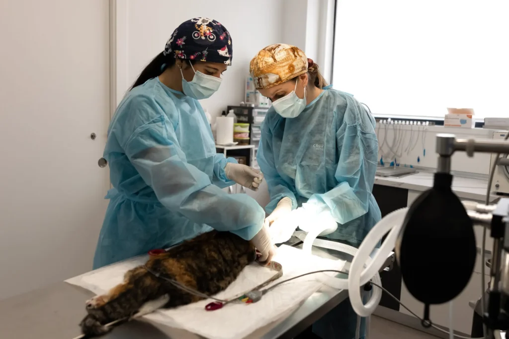 Oncologia y cirugia oncologica